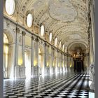 ...La venaria reale...