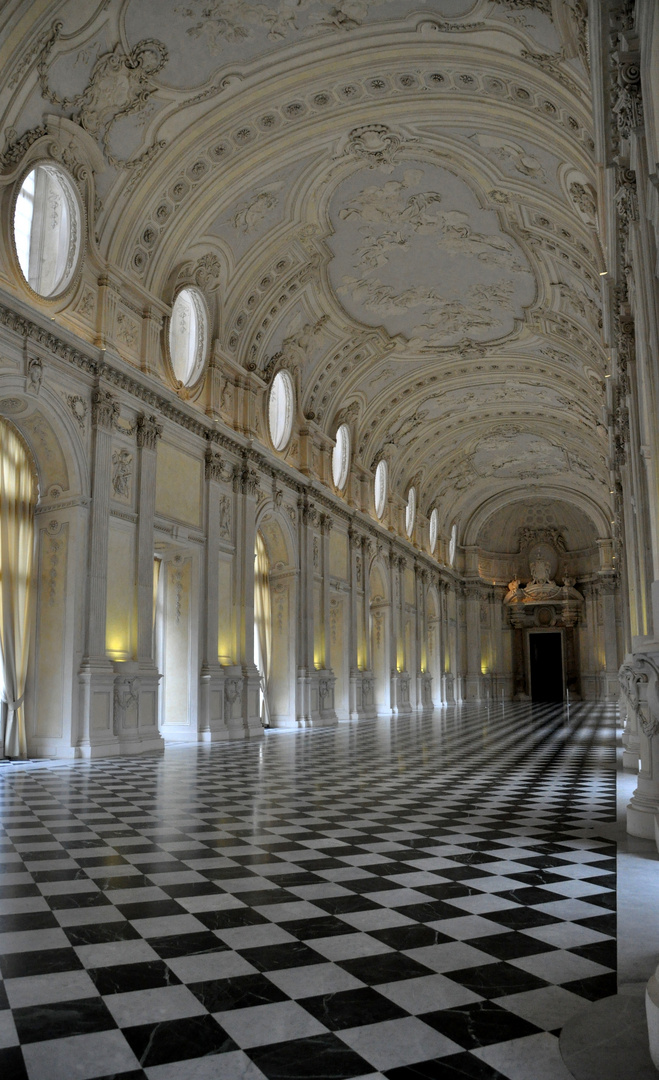 La venaria reale