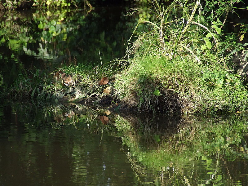 La vendée