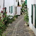 la venelle aux volets verts et aux roses trémières