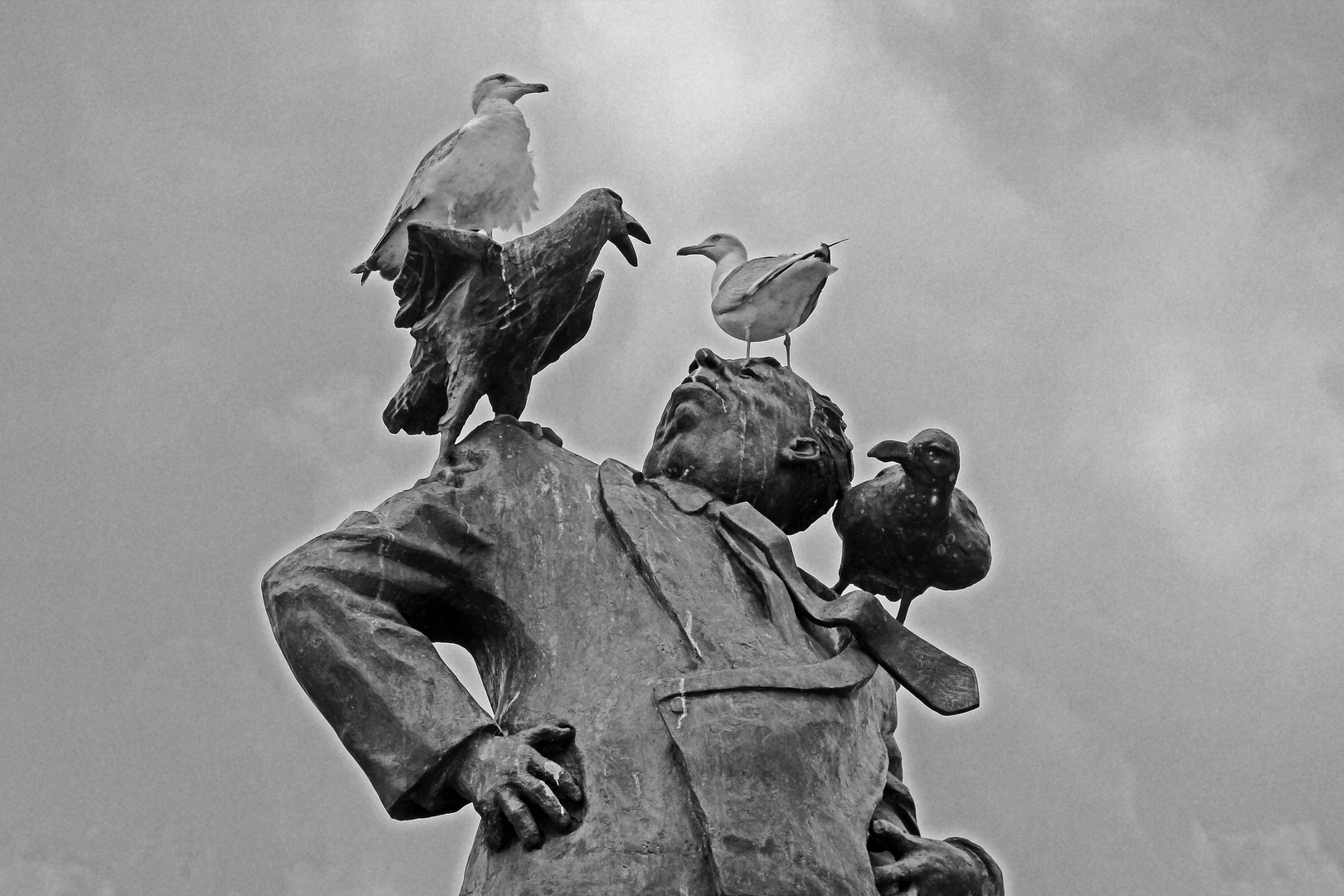 La vengeance des oiseaux.