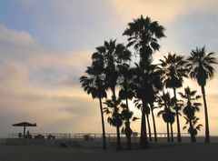L.A. Venice Beach