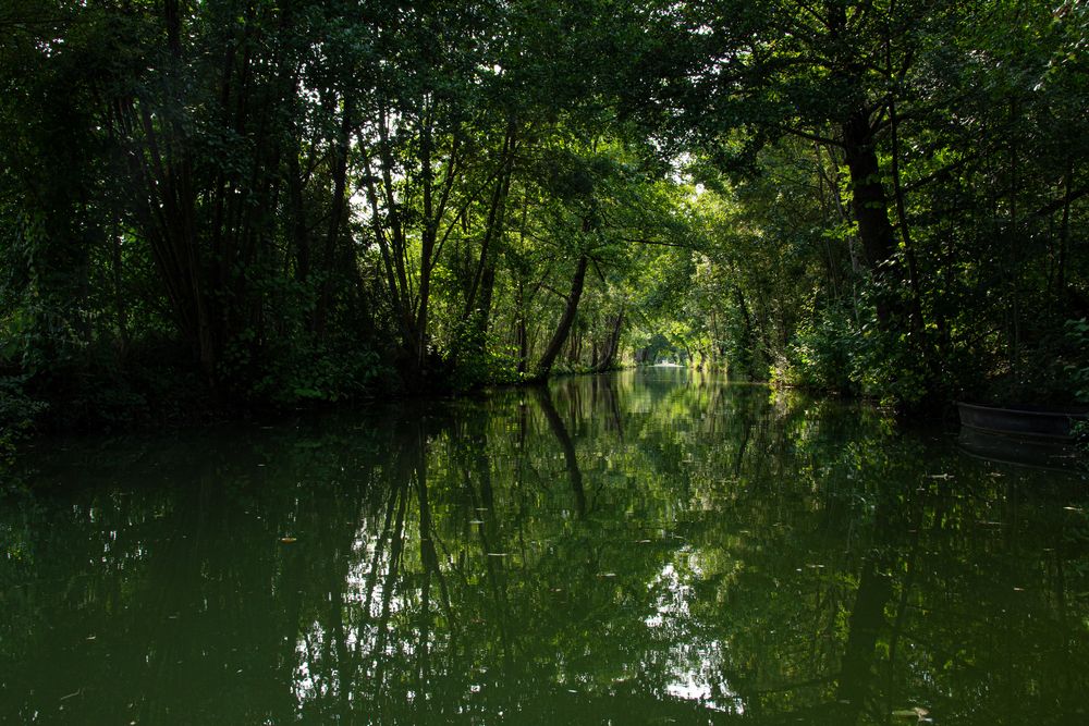 La Venise Vert