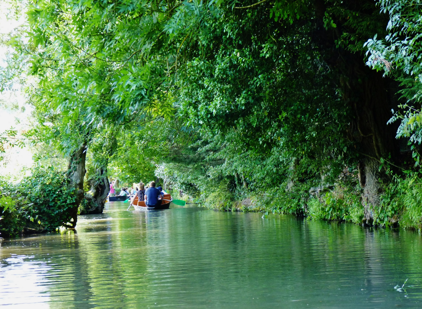 La Venise verte 1