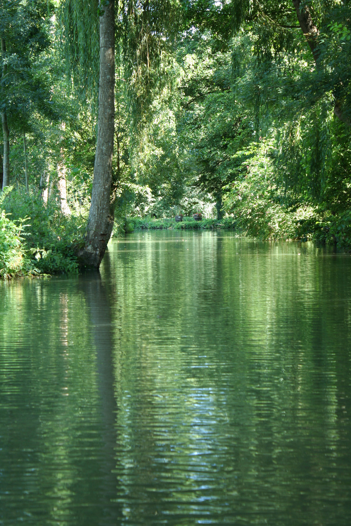 La Venise verte 1