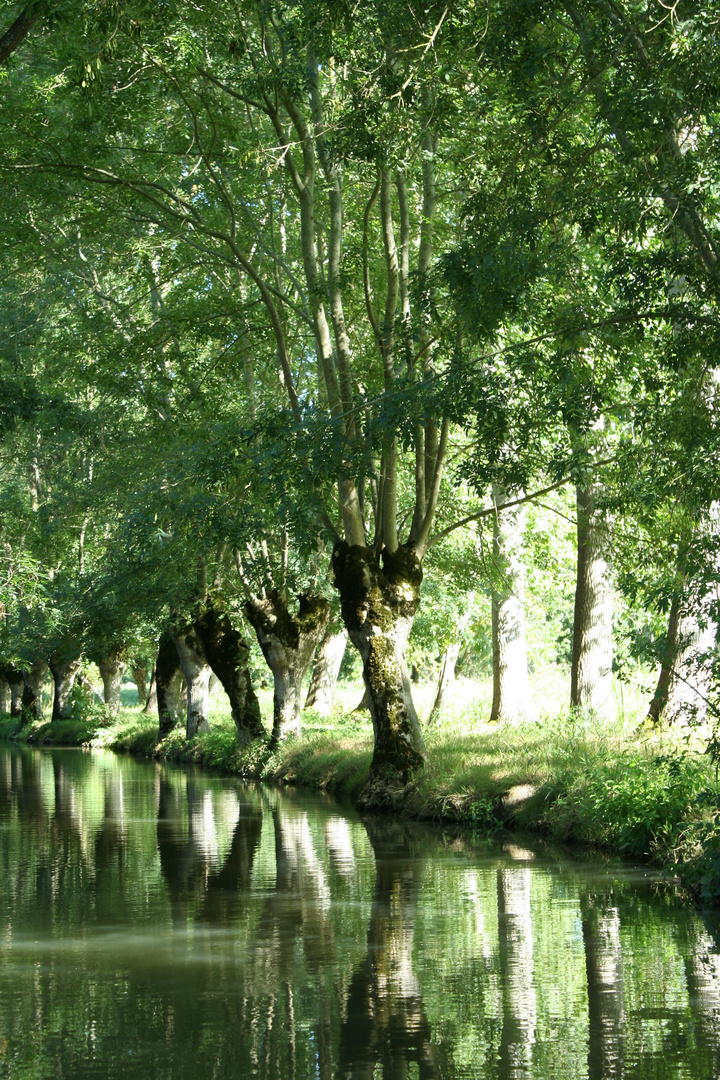 La Venise verte 2