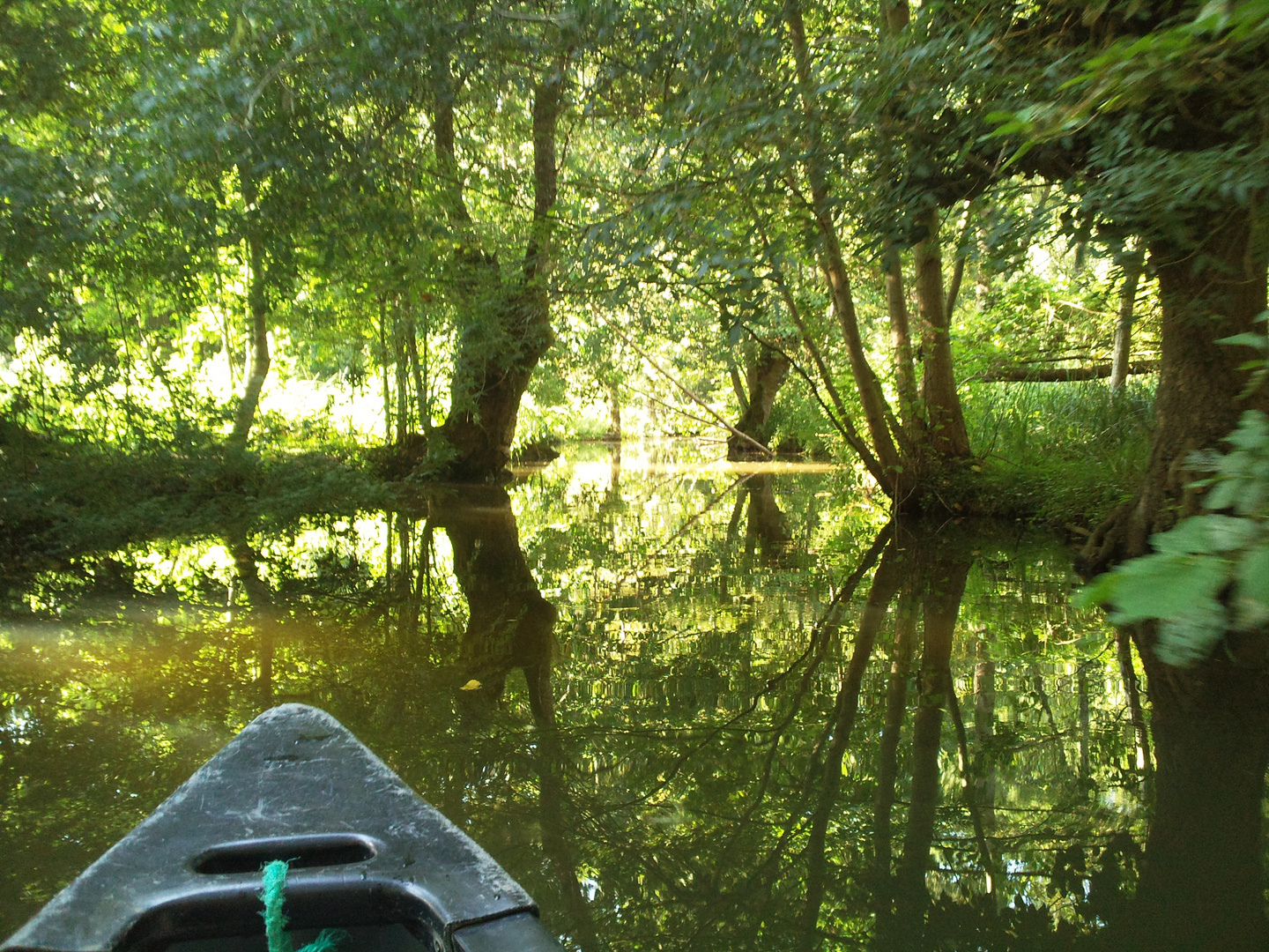 La Venise verte