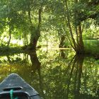 La Venise verte