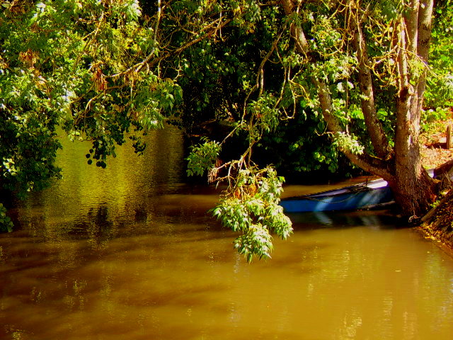 LA VENISE VERTE