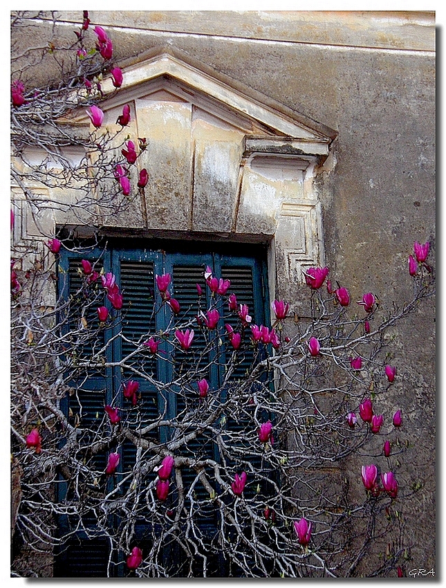 LA VENTANA DERECHA