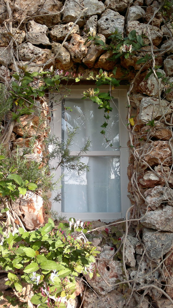 La ventana discreta