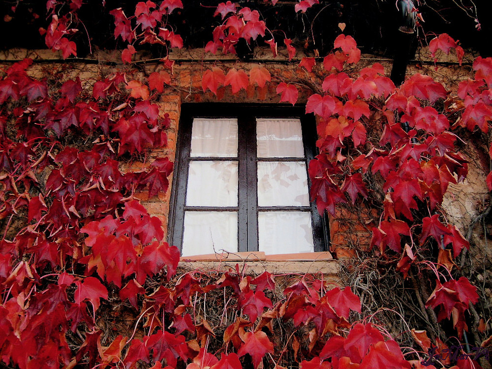 La ventana "discreta" en rojos...