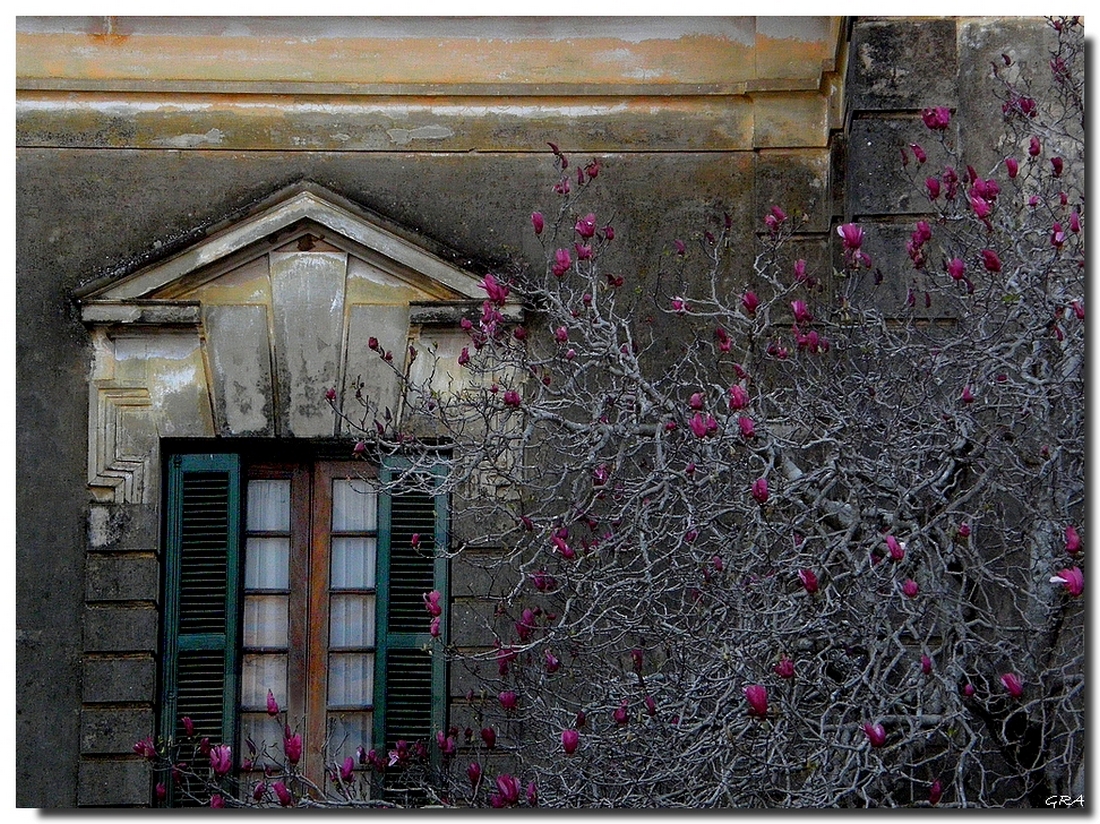 LA VENTANA IZQUIERDA