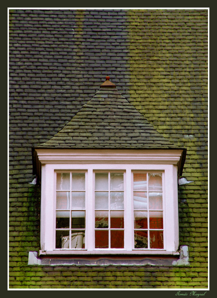 La Ventana Verde