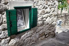 La ventana y el gato