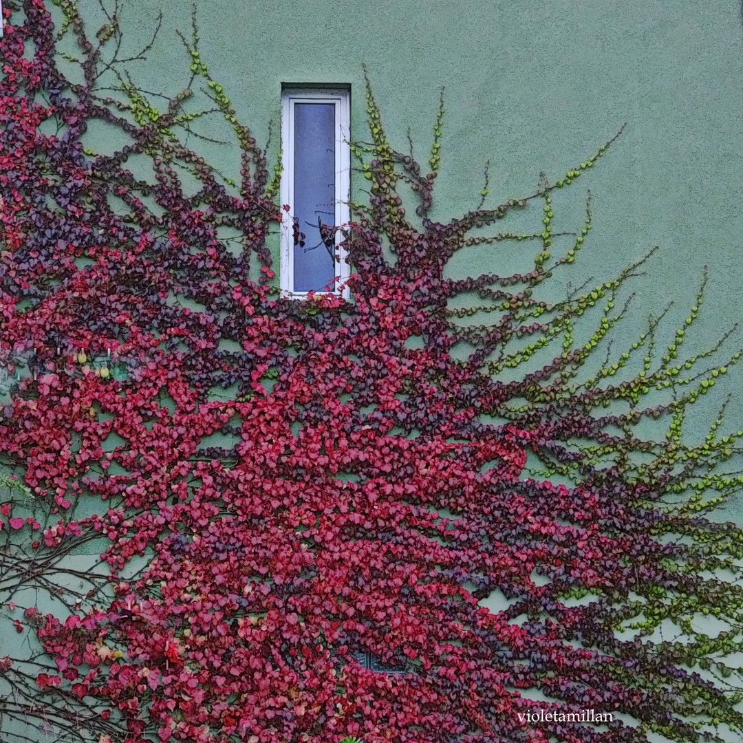 LA VENTANITA,CON LOS COLORES DEL OTOÑO