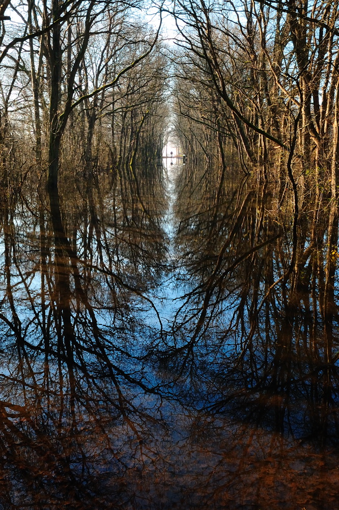 La version couleur de "Reflet"