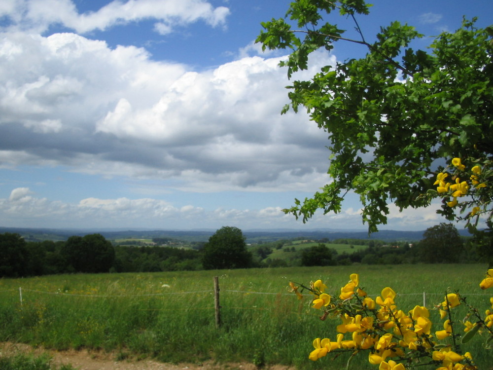 La verte campagne limousine