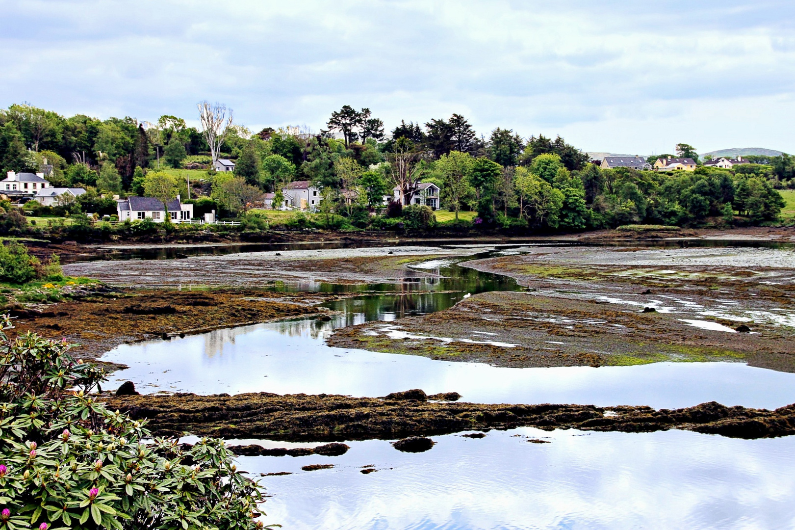 La Verte Irlande