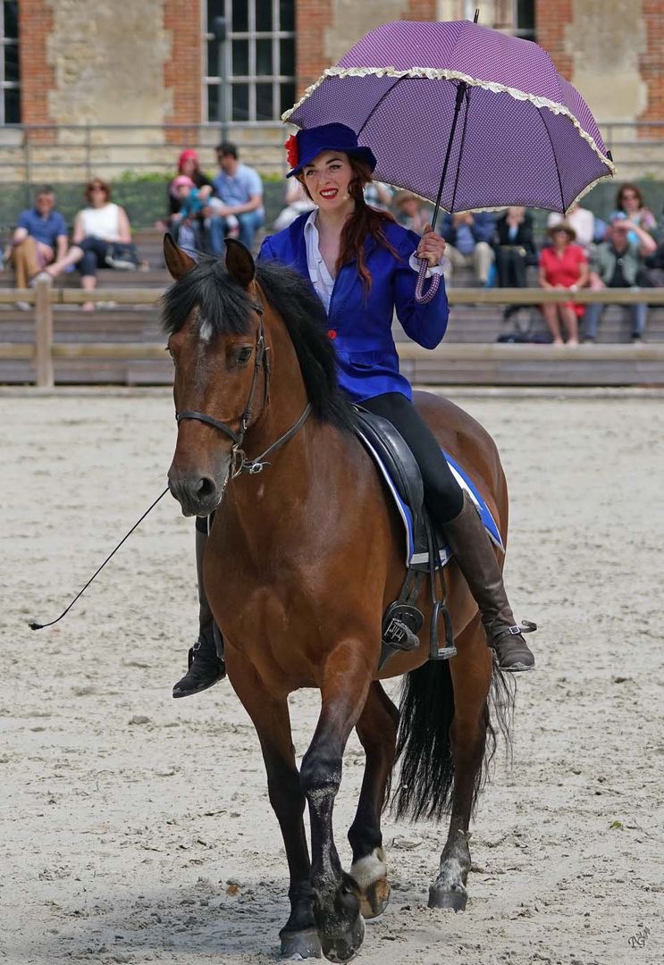 La veste bleue de la Cavalière ....