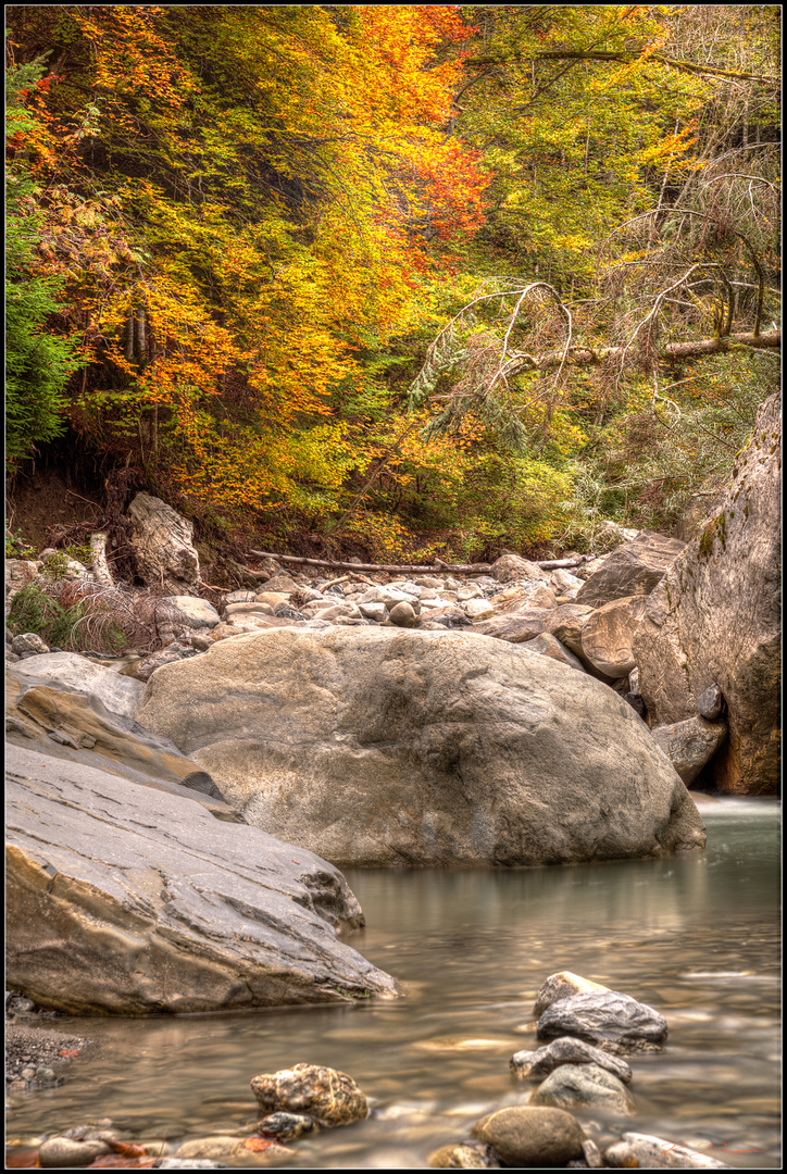 La Veveyse aux couleurs de l'automne