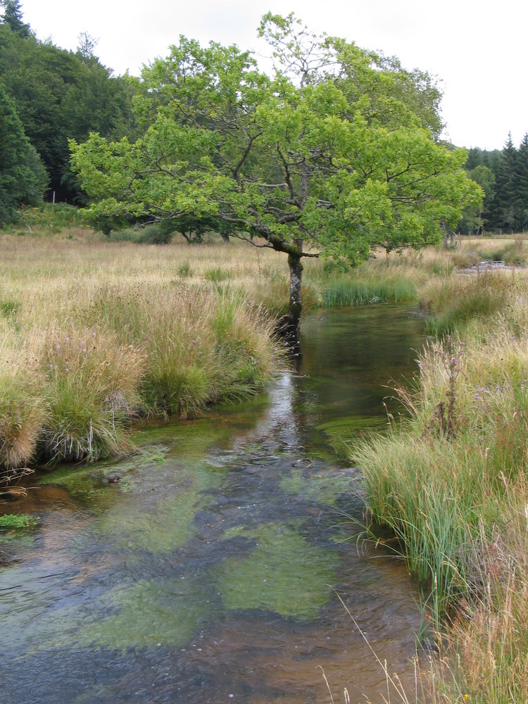 la vezere