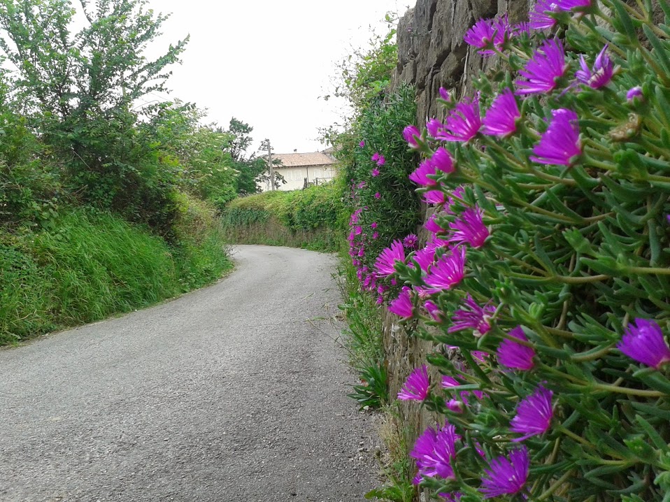 la via dei fiori