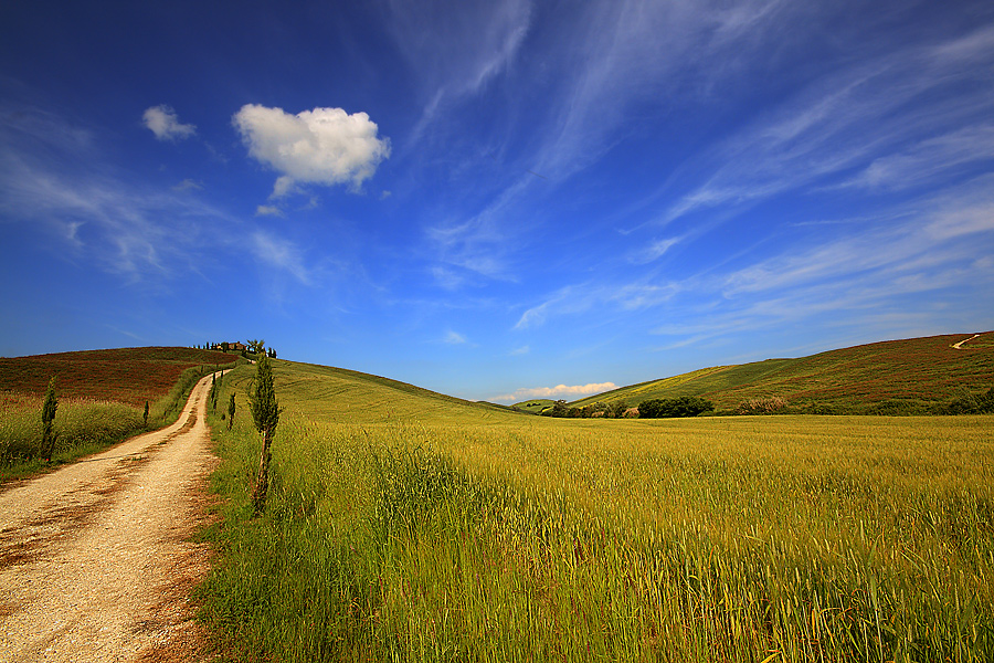 la via per il paradiso (The way to heaven)