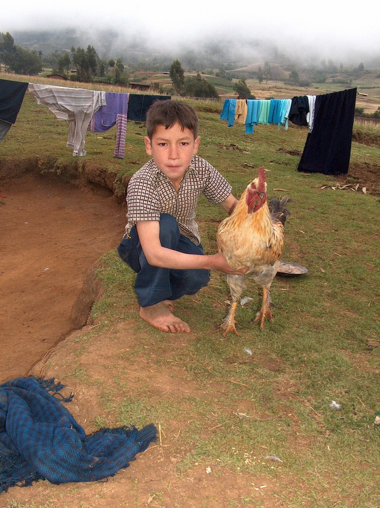 LA VIDA DE UN NIÑO EN EL CAMPO