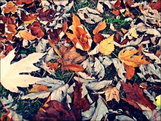 La vida...... Termina???