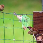 La vie au jardin !