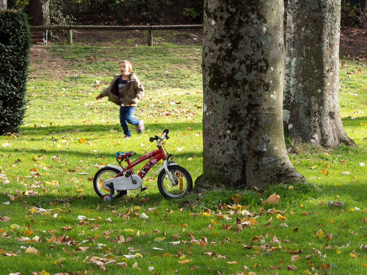 la vie au parc en automne