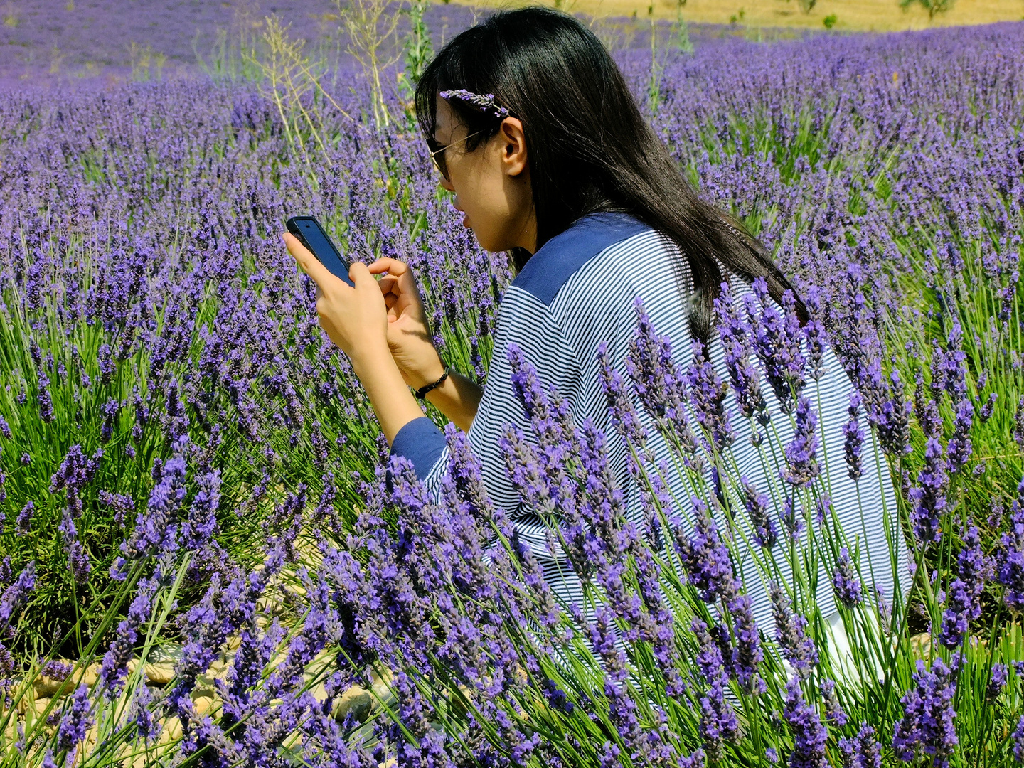 La vie en bleu