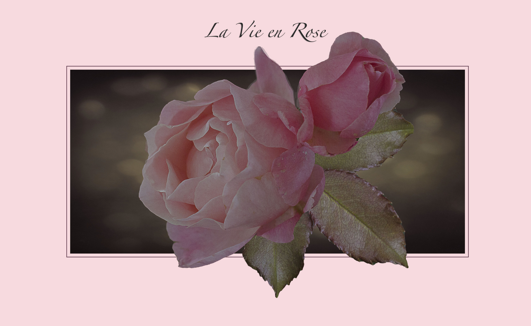 La vie en rose