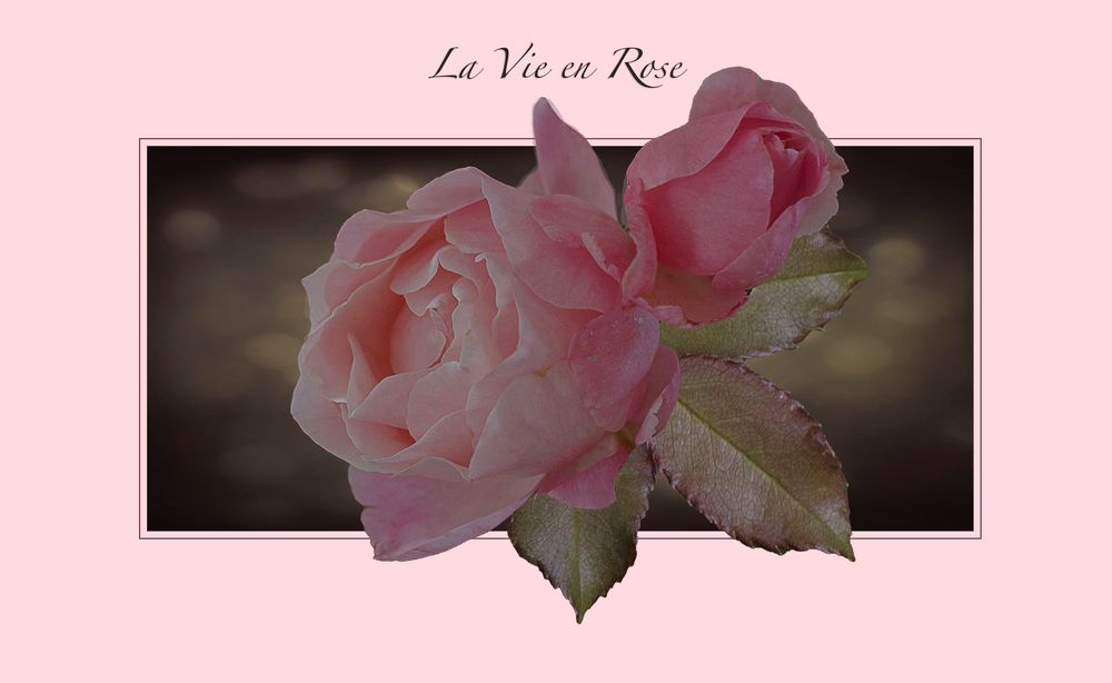 La vie en rose