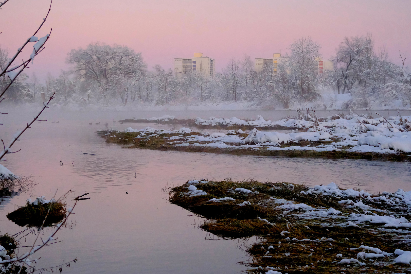 La vie en rose