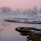 La vie en rose