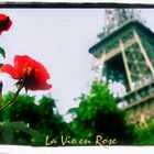 La Vie en Rose