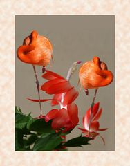 La vie en rose -- Composition aux flamants et schlumbergera zygocactus