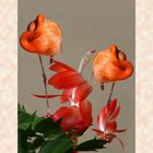 La vie en rose -- Composition aux flamants et schlumbergera zygocactus