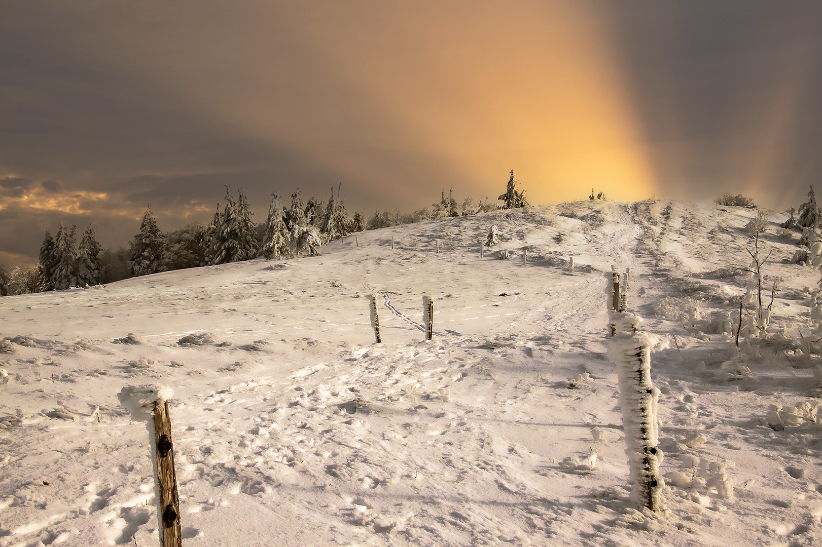 La vie en Vosges