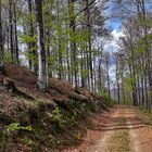 la vie en Vosges