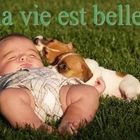 La vie est bele