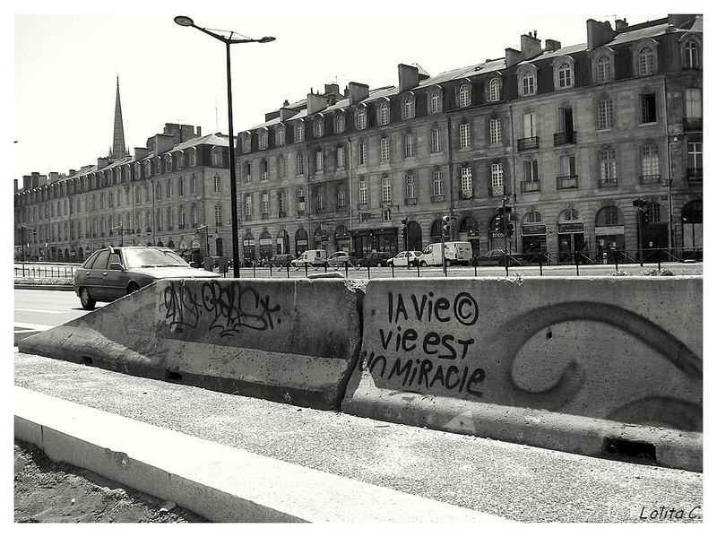 la vie est un miracle.