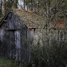 La vieille cabane