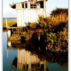 La vieille cabane...