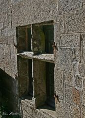 la vieille fenêtre