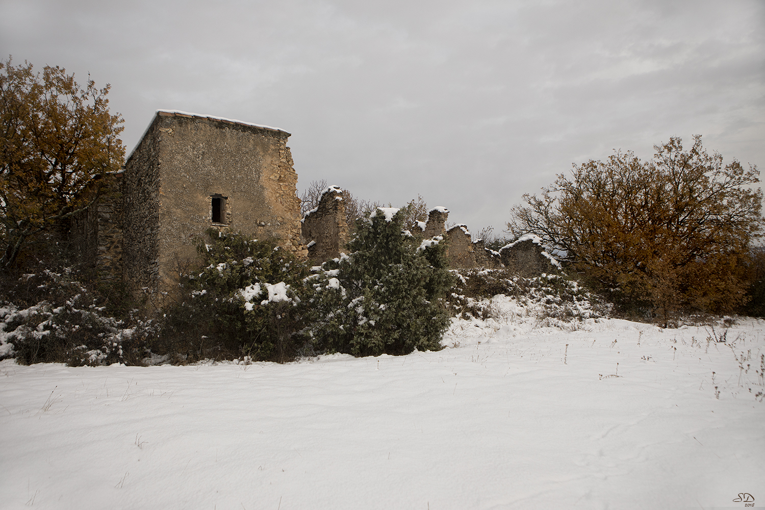 La vieille ferme