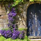 La vieille porte bleue