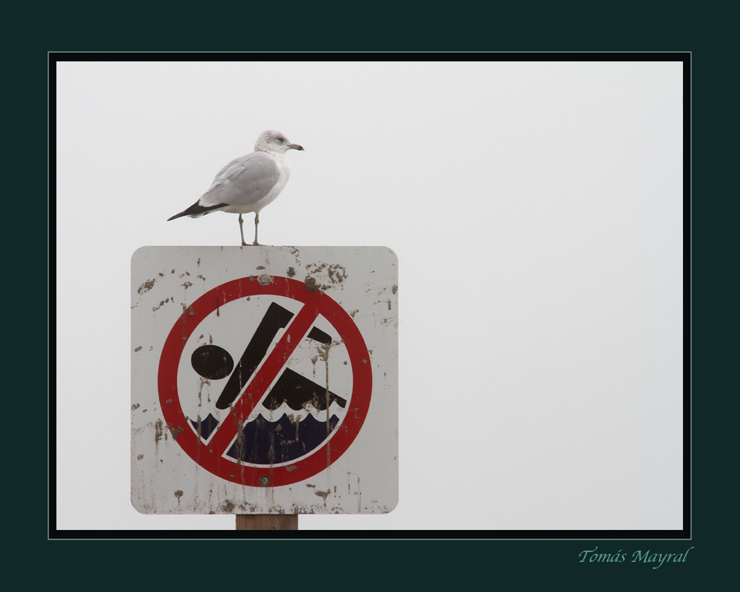 La Vigilante de la Playa